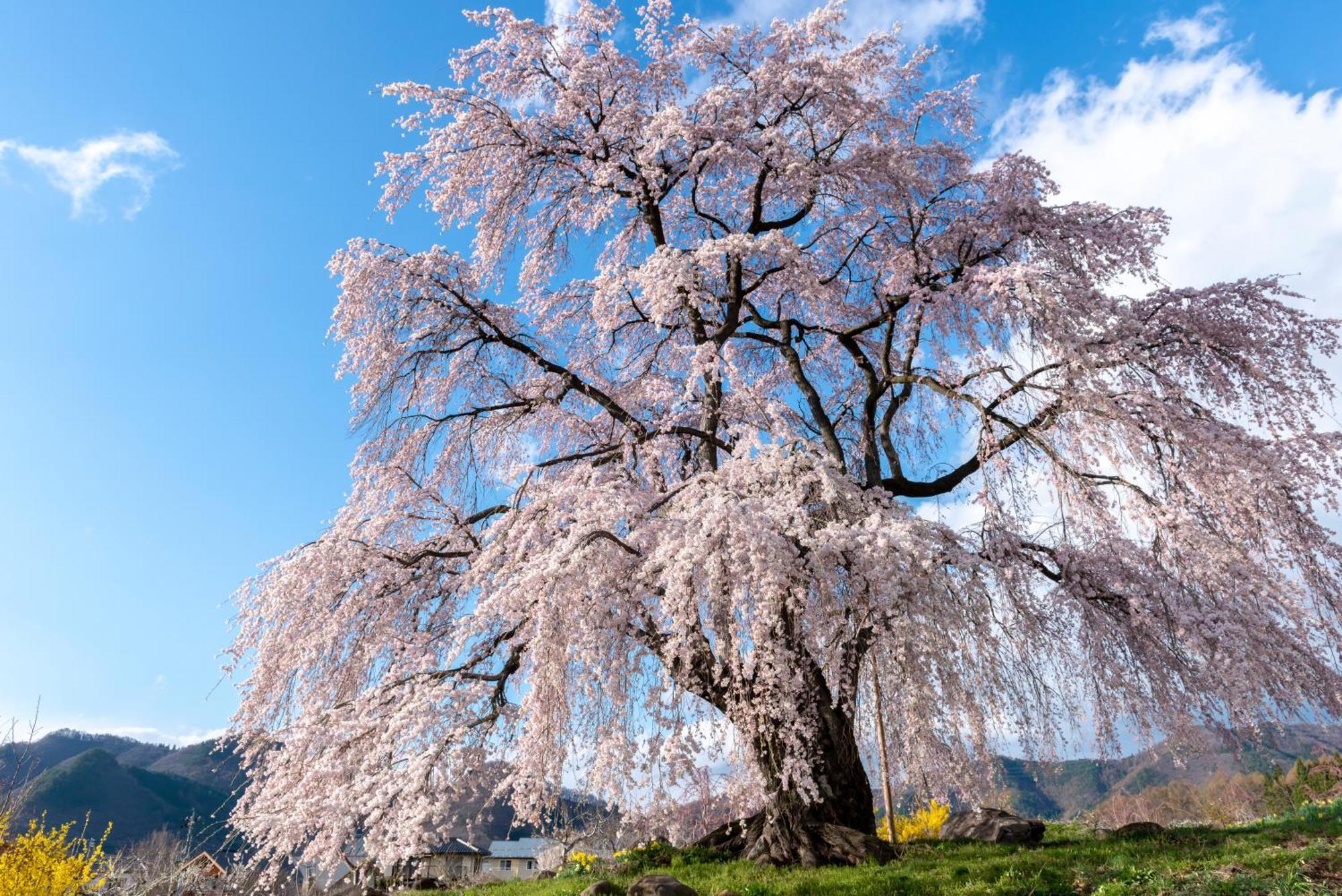 The Toji Ba Matsukawakan ทาคายามะ ภายนอก รูปภาพ