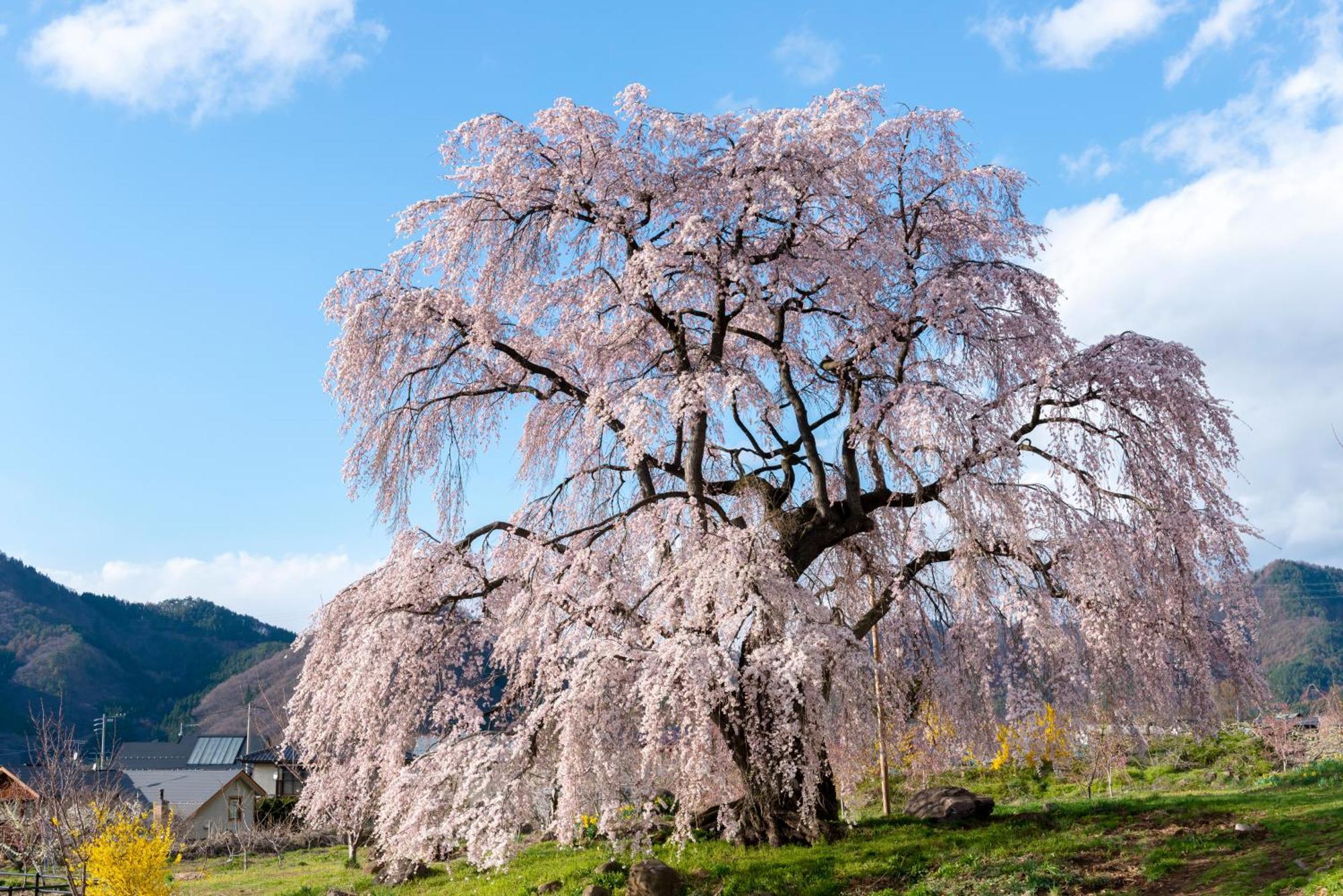 The Toji Ba Matsukawakan ทาคายามะ ภายนอก รูปภาพ