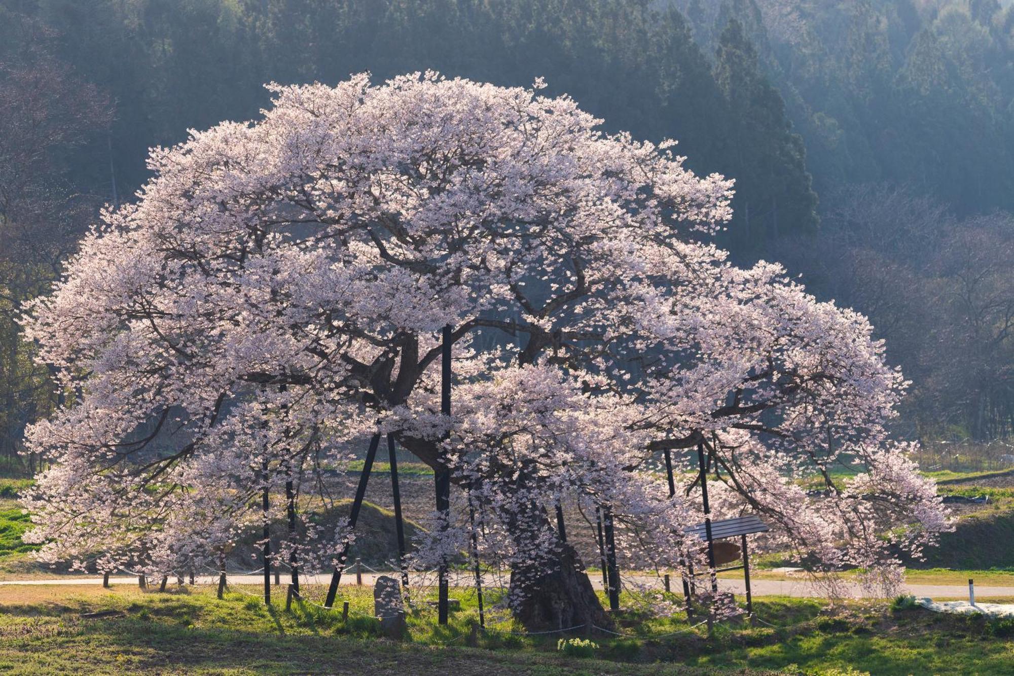 The Toji Ba Matsukawakan ทาคายามะ ภายนอก รูปภาพ